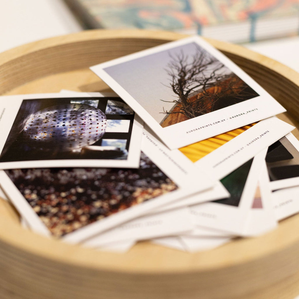 Colección de favoritas